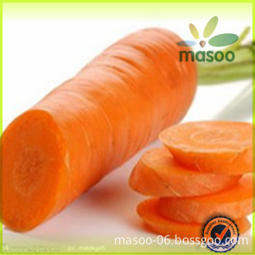 2014 new crop fresh carrot supplier yellow fresh carrot,high quality